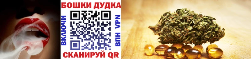 Где продают наркотики Гаврилов Посад ГЕРОИН  А ПВП  Меф мяу мяу  НБОМе  Бошки Шишки  ГАШ  Амфетамин 