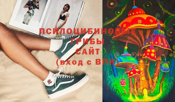 spice Алексин