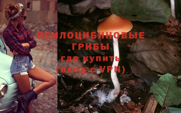 spice Алексин