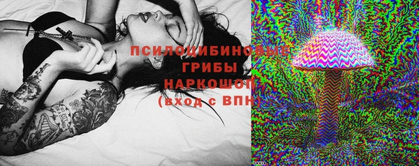 spice Алексин